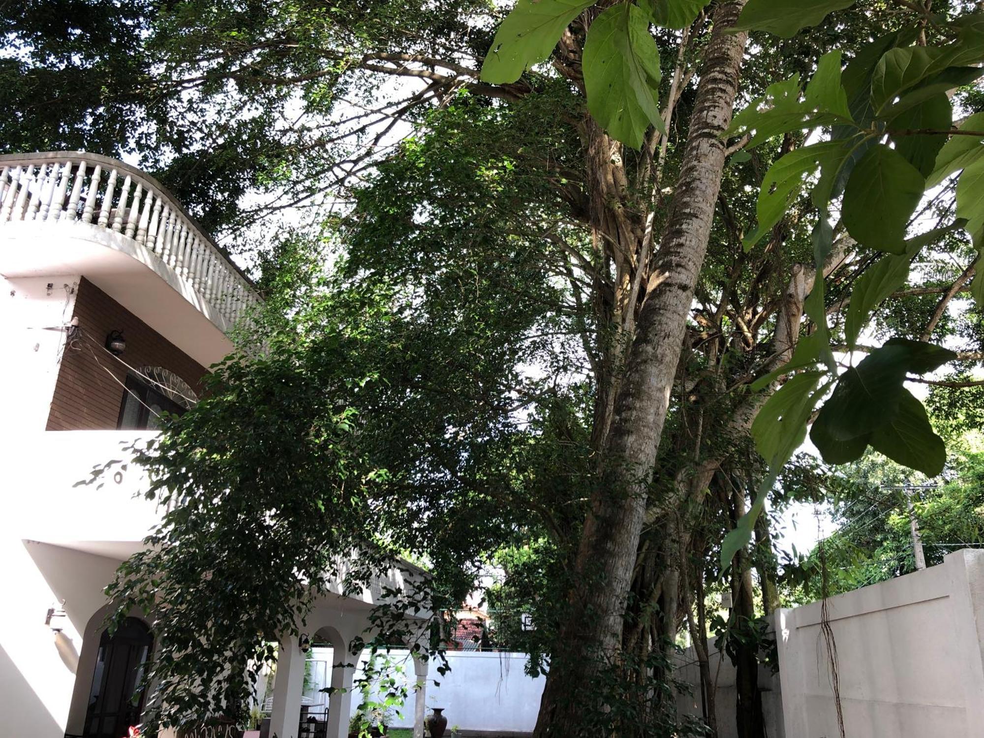 Murphy'S Villa คาตุนายากา ภายนอก รูปภาพ